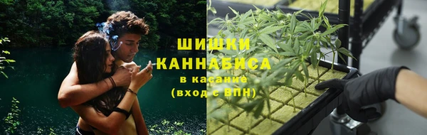 стаф Белокуриха