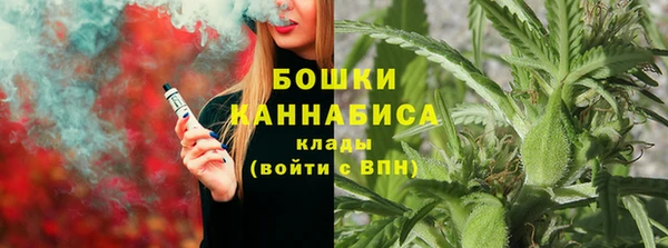 стаф Белокуриха