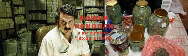 стаф Белокуриха