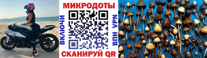 Галлюциногенные грибы прущие грибы  где продают наркотики  Магас 